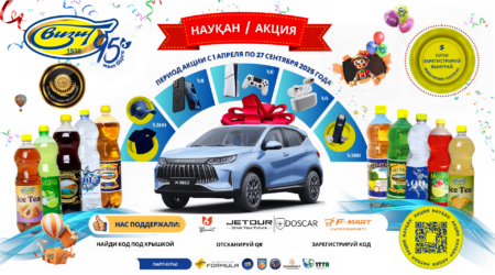 Промо акция ВИЗиТ 2025